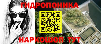 прущие крисы Донецк