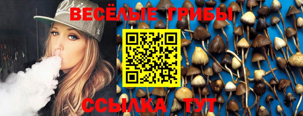 Псилоцибиновые грибы Лысьва