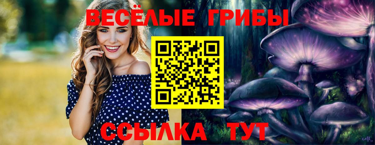 Псилоцибиновые грибы Psilocybe Лысьва